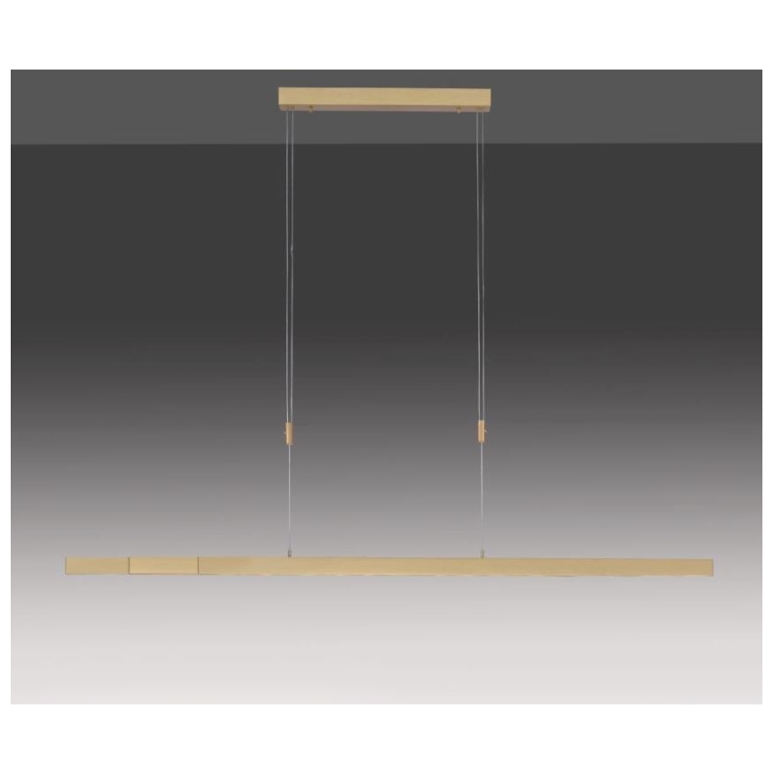 Paul Neuhaus 2568-60 - Світлодіодна підвісна люстра з регулюванням яскравості ADRIANA LED/14W/230V  2700-5000K латунь