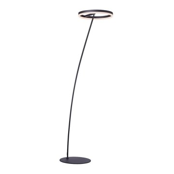Paul Neuhaus 381-13 - LED Торшер з регулюванням яскравості TITUS LED/19,5W/230V