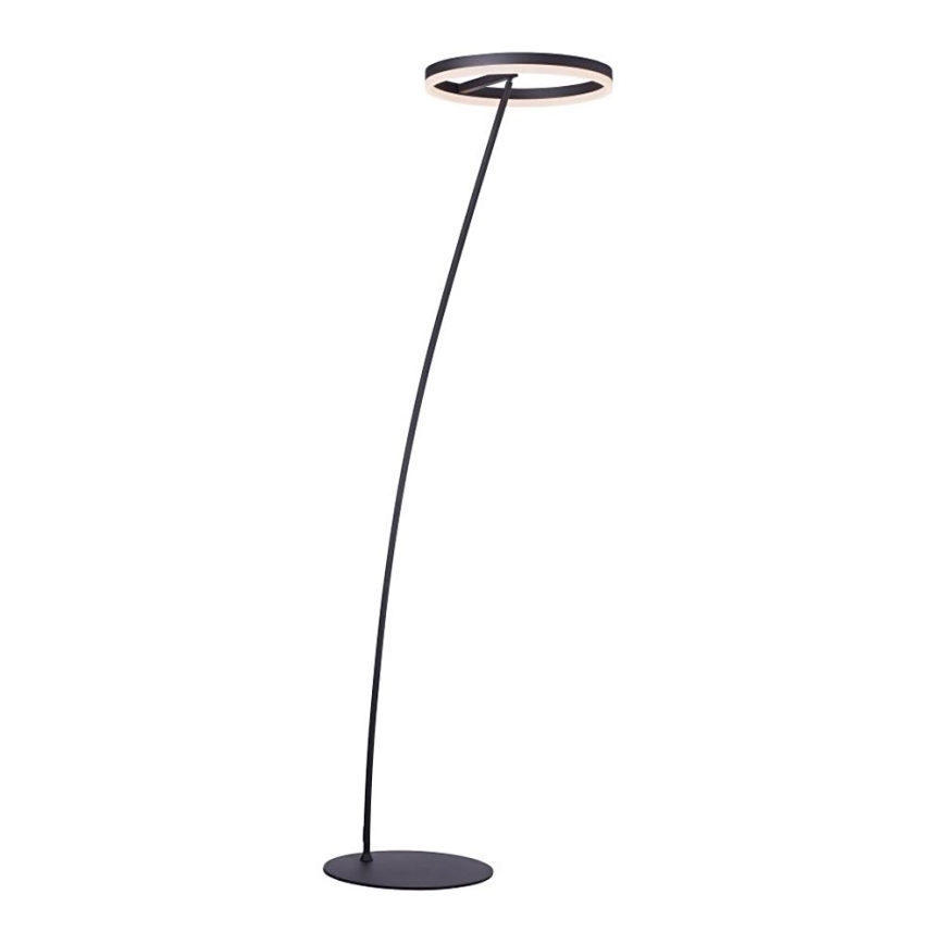 Paul Neuhaus 381-13 - LED Торшер з регулюванням яскравості TITUS LED/19,5W/230V