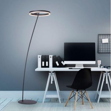 Paul Neuhaus 381-13 - LED Торшер з регулюванням яскравості TITUS LED/19,5W/230V