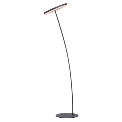 Paul Neuhaus 381-13 - LED Торшер з регулюванням яскравості TITUS LED/19,5W/230V