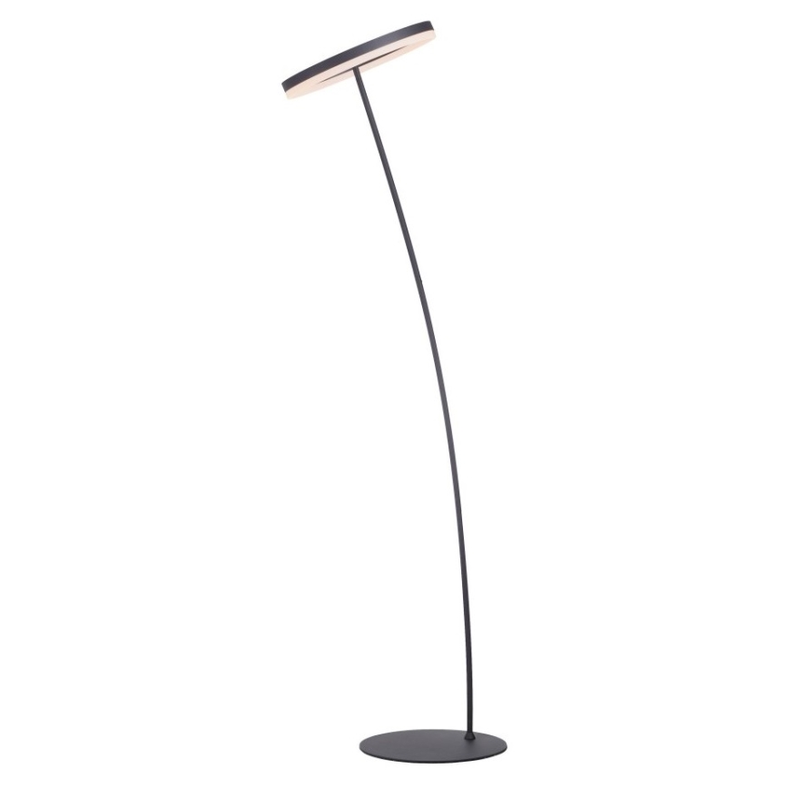 Paul Neuhaus 381-13 - LED Торшер з регулюванням яскравості TITUS LED/19,5W/230V