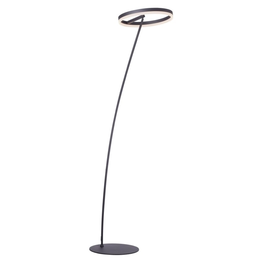 Paul Neuhaus 381-13 - LED Торшер з регулюванням яскравості TITUS LED/19,5W/230V