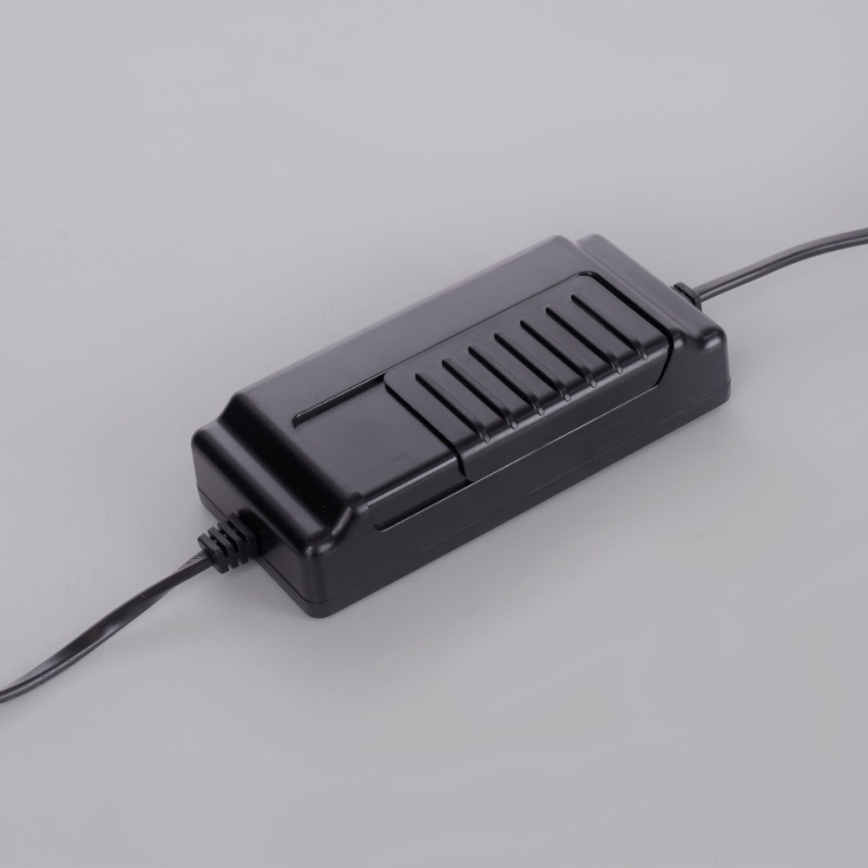 Paul Neuhaus 381-13 - LED Торшер з регулюванням яскравості TITUS LED/19,5W/230V