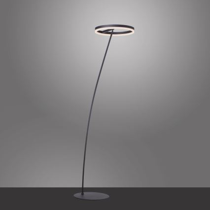 Paul Neuhaus 381-13 - LED Торшер з регулюванням яскравості TITUS LED/19,5W/230V