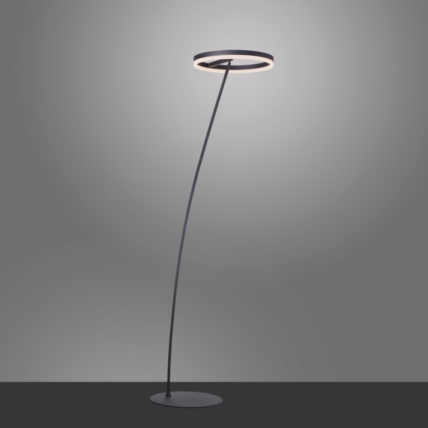 Paul Neuhaus 381-13 - LED Торшер з регулюванням яскравості TITUS LED/19,5W/230V