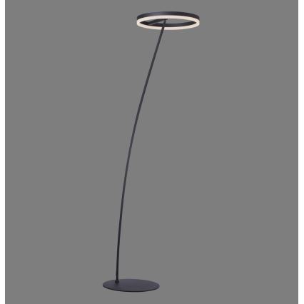Paul Neuhaus 381-13 - LED Торшер з регулюванням яскравості TITUS LED/19,5W/230V