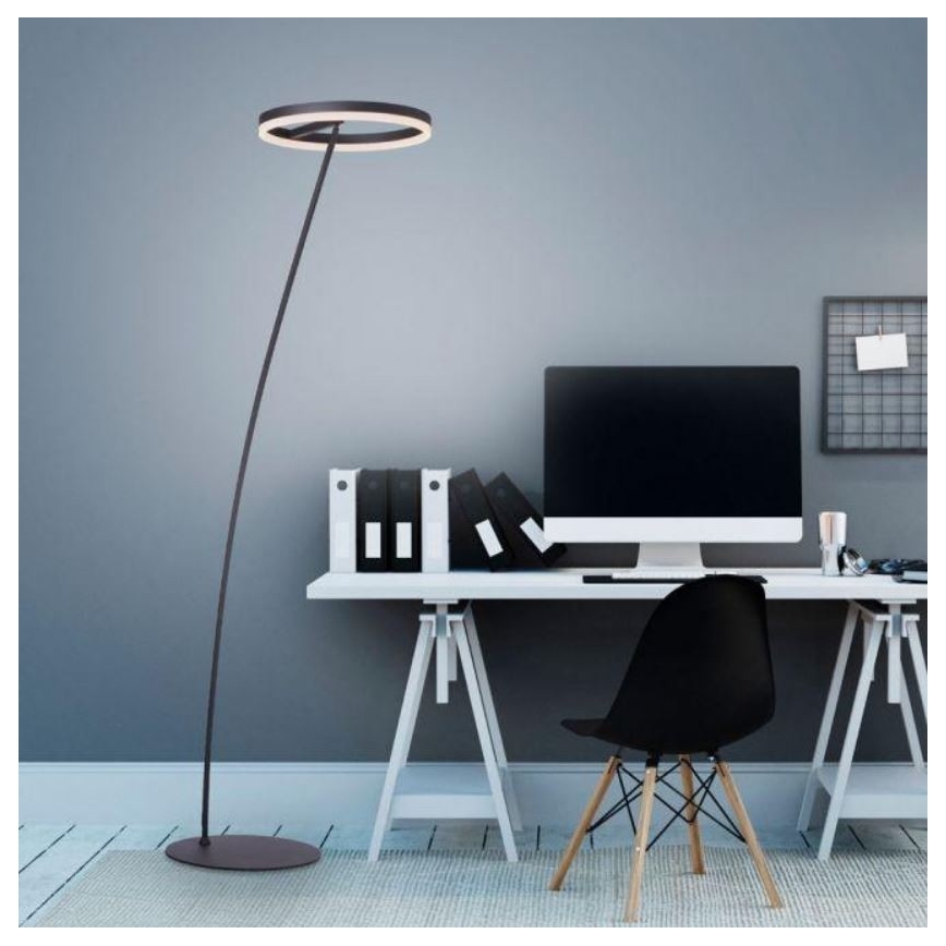 Paul Neuhaus 381-13 - Светодиодный диммируемый торшер TITUS LED/19,5W/230V