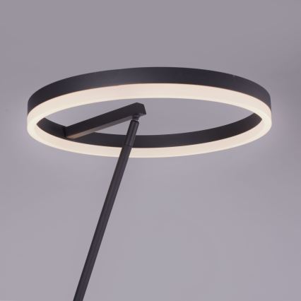 Paul Neuhaus 381-13 - Светодиодный диммируемый торшер TITUS LED/19,5W/230V