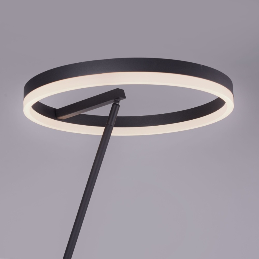 Paul Neuhaus 381-13 - Светодиодный диммируемый торшер TITUS LED/19,5W/230V