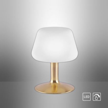 Paul Neuhaus 4078-60 - Сенсорна настільна LED лампа з регулюванням яскравості TILL 1xG9/3W/230V латунь