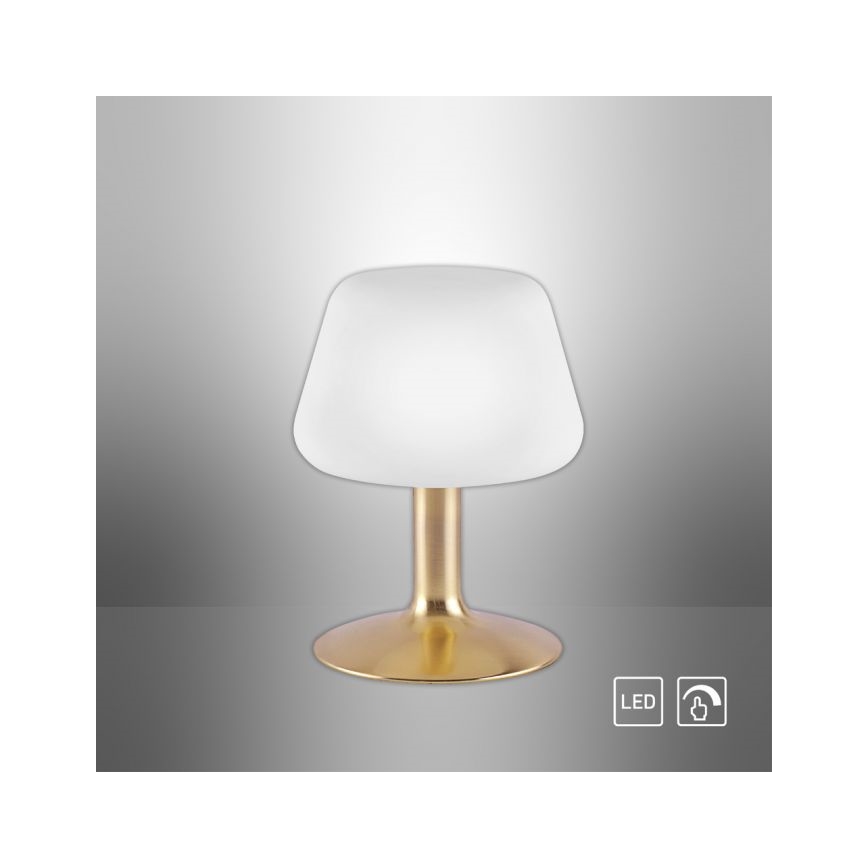 Paul Neuhaus 4078-60 - Сенсорна настільна LED лампа з регулюванням яскравості TILL 1xG9/3W/230V латунь