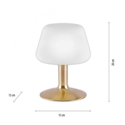Paul Neuhaus 4078-60 - Сенсорна настільна LED лампа з регулюванням яскравості TILL 1xG9/3W/230V латунь