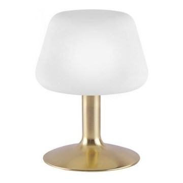 Paul Neuhaus 4078-60 - Сенсорна настільна LED лампа з регулюванням яскравості TILL 1xG9/3W/230V латунь