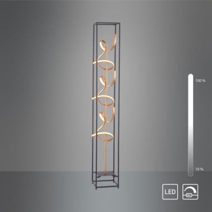 Paul Neuhaus 415-18 - LED Димерний торшер SELINA 3xLED/10,2W/230V