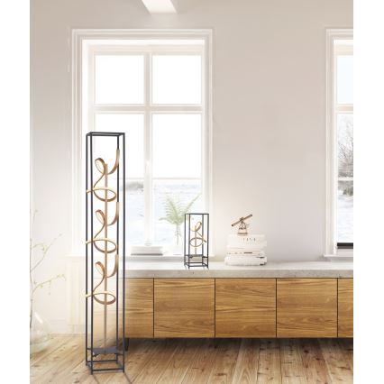 Paul Neuhaus 415-18 - Светодиодный торшер с регулированием яркости SELINA 3xLED/10,2W/230V