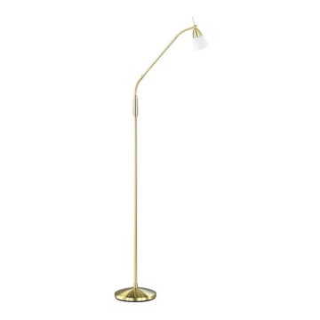 Paul Neuhaus 430-60 - Светодиодный диммируемый торшер PINO 1xG9/28W/230V золотой