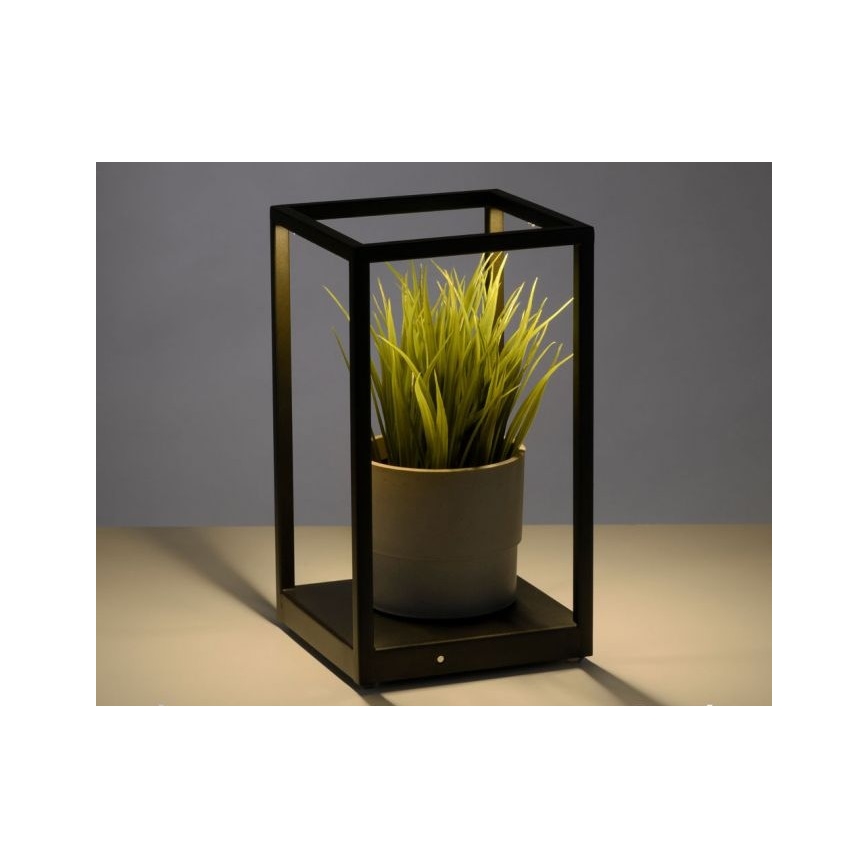 Paul Neuhaus 4401-18 - Настільна LED лампа з регулюванням яскравості CONTURA 2xLED/2,2W/230V