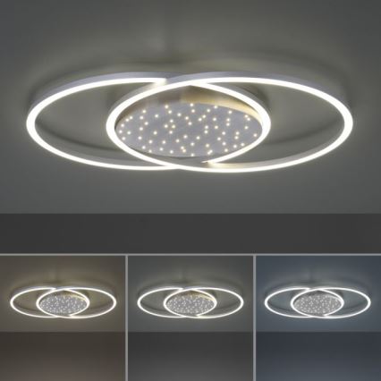 Paul Neuhaus 6025-55 - Светодиодный потолочный светильник с регулированием яркости YUKI LED/48W/230V + дистанционное управление