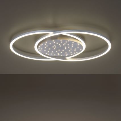 Paul Neuhaus 6025-55 - Светодиодный потолочный светильник с регулированием яркости YUKI LED/48W/230V + дистанционное управление