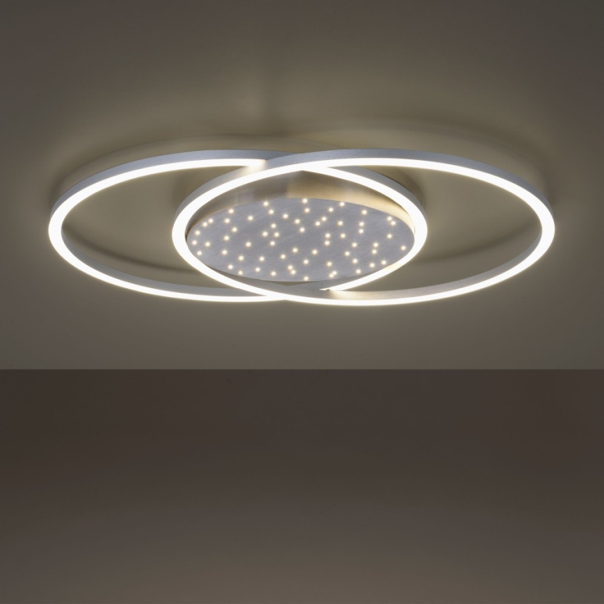 Paul Neuhaus 6025-55 - Светодиодный потолочный светильник с регулированием яркости YUKI LED/48W/230V + дистанционное управление
