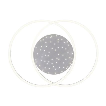 Paul Neuhaus 6025-55 - Светодиодный потолочный светильник с регулированием яркости YUKI LED/48W/230V + дистанционное управление
