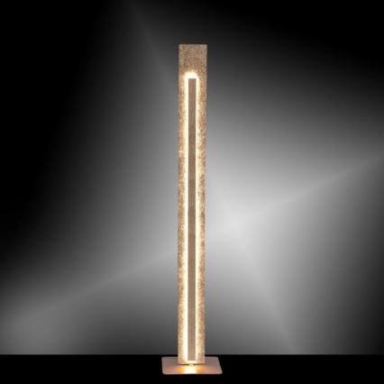 Paul Neuhaus 603-12 - LED Торшер NEVIS LED/27W/230V