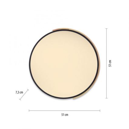 Paul Neuhaus 6071-18 - Світильник стельовий LED з регулюванням яскравості Q-PIATO LED/35W/230V діам. 51 см 2700-5000K Wi-Fi + дистанційне керування