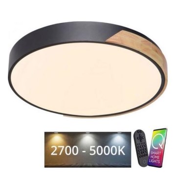 Paul Neuhaus 6071-18 - Світильник стельовий LED з регулюванням яскравості Q-PIATO LED/35W/230V діам. 51 см 2700-5000K Wi-Fi + дистанційне керування