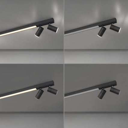 Paul Neuhaus 6121-13 - Світильник точковий LED з регулюванням яскравості PURE 4xLED/4W/230V + LED/9W 2700-5000K + дистанційне керування