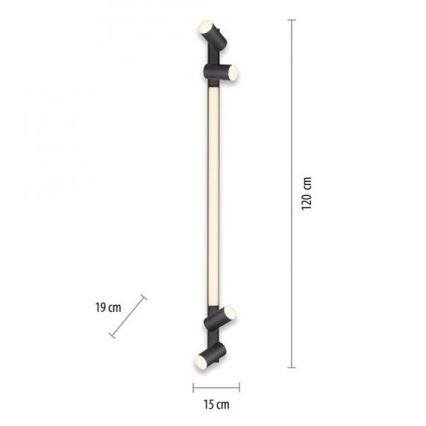 Paul Neuhaus 6121-13 - Светильник точечный светодиодный регулируемый PURE 4xLED/4W/230V + LED/9W 2700-5000K + дистанционное управление