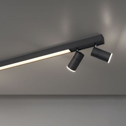 Paul Neuhaus 6121-13 - Точковий LED світильник з регулюванням яскравості PURE 4xLED/4W/230V + LED/9W 2700-5000K + пульт дистанційного керування