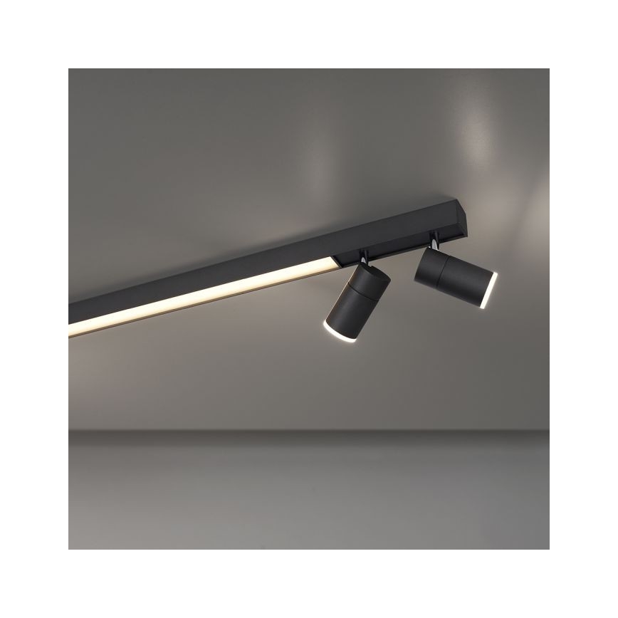 Paul Neuhaus 6121-13 - Точковий LED світильник з регулюванням яскравості PURE 4xLED/4W/230V + LED/9W 2700-5000K + пульт дистанційного керування