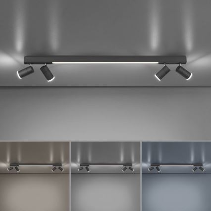 Paul Neuhaus 6121-13 - Точковий LED світильник з регулюванням яскравості PURE 4xLED/4W/230V + LED/9W 2700-5000K + пульт дистанційного керування
