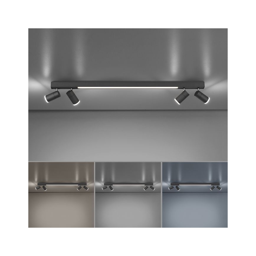 Paul Neuhaus 6121-13 - Точковий LED світильник з регулюванням яскравості PURE 4xLED/4W/230V + LED/9W 2700-5000K + пульт дистанційного керування