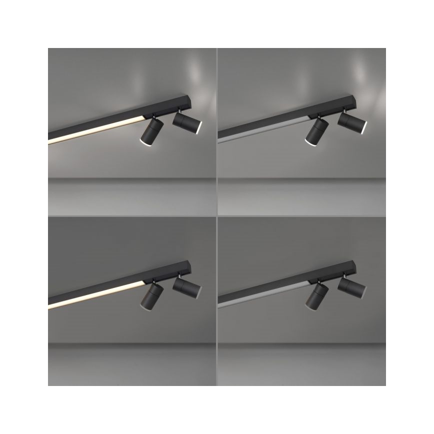 Paul Neuhaus 6121-13 - Точковий LED світильник з регулюванням яскравості PURE 4xLED/4W/230V + LED/9W 2700-5000K + пульт дистанційного керування