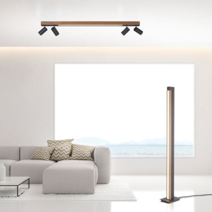 Paul Neuhaus 6121-79 - Точковий LED світильник з регулюванням яскравості PURE 4xLED/4W/230V + LED/9W 2700-5000K + пульт дистанційного керування