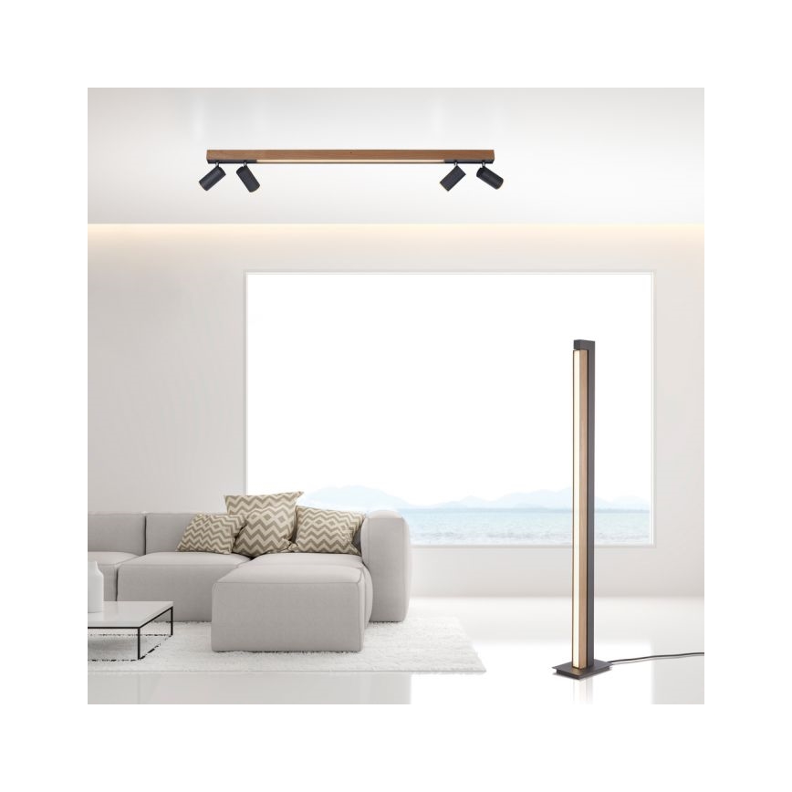 Paul Neuhaus 6121-79 - Точковий LED світильник з регулюванням яскравості PURE 4xLED/4W/230V + LED/9W 2700-5000K + пульт дистанційного керування