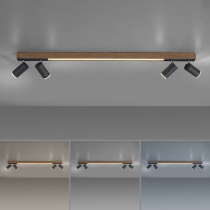Paul Neuhaus 6121-79 - Точковий LED світильник з регулюванням яскравості PURE 4xLED/4W/230V + LED/9W 2700-5000K + пульт дистанційного керування