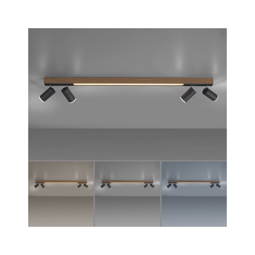 Paul Neuhaus 6121-79 - Точковий LED світильник з регулюванням яскравості PURE 4xLED/4W/230V + LED/9W 2700-5000K + пульт дистанційного керування
