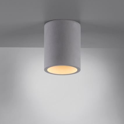 Paul Neuhaus 6160-22 - Точечный светильник ETON 1xGU10/10W/230V