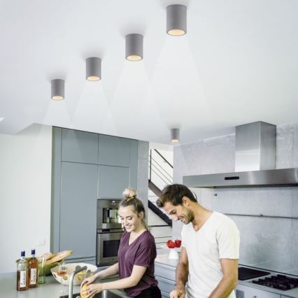 Paul Neuhaus 6160-22 - Точечный светильник ETON 1xGU10/10W/230V