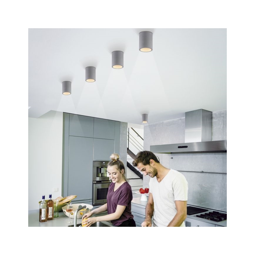 Paul Neuhaus 6160-22 - Точковий світильник ETON 1xGU10/10W/230V бетон