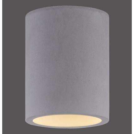 Paul Neuhaus 6160-22 - Точковий світильник ETON 1xGU10/10W/230V бетон