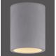 Paul Neuhaus 6160-22 - Точечный светильник ETON 1xGU10/10W/230V