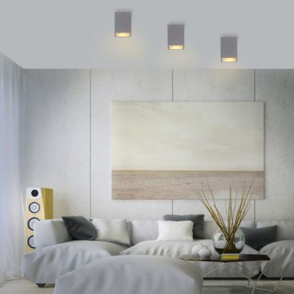 Paul Neuhaus 6161-22 - Точковий світильник ETON 1xGU10/10W/230V бетон