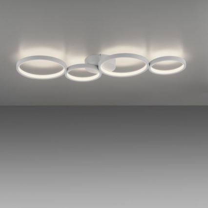 Paul Neuhaus 6183-16 - Светодиодный потолочный светильник с регулированием яркости KIRINGE LED/26W/230V