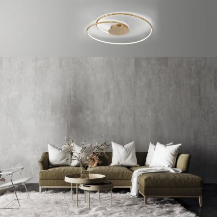Paul Neuhaus 6189-12 - Светодиодный потолочный светильник с регулированием яркости NASTRO LED/26W/230V