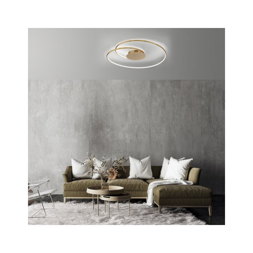 Paul Neuhaus 6189-12 - Светодиодный потолочный светильник с регулированием яркости NASTRO LED/26W/230V