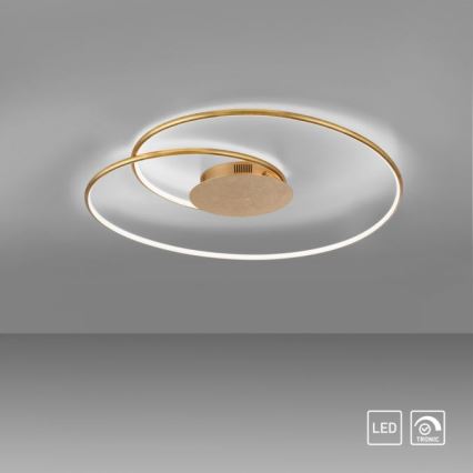 Paul Neuhaus 6189-12 - Светодиодный потолочный светильник с регулированием яркости NASTRO LED/26W/230V